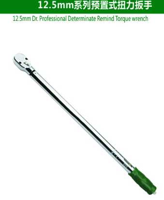 12.5mm Dr.Professional Determinate Remind Torque Wrench