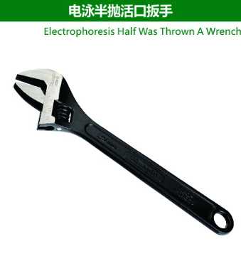 Electrophoresis Half Was Thrown A Wrench