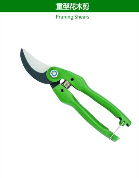 Pruning Shears