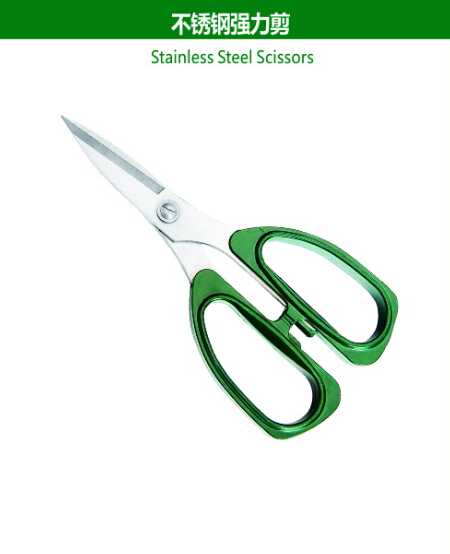 Stainless Steel Scissors