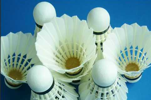 shuttlecock