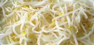 chinese bean sprouts