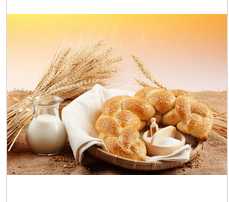 wholesale bread flour / wheat flour for bread 