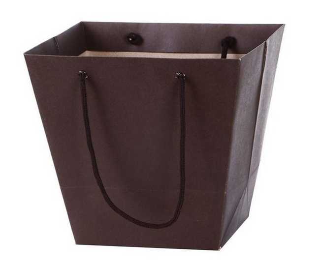 Custom printed Paper Bag Printing with Logo ,kraft paper bag making in Xiamen