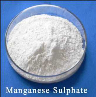  Manganous Sulfate