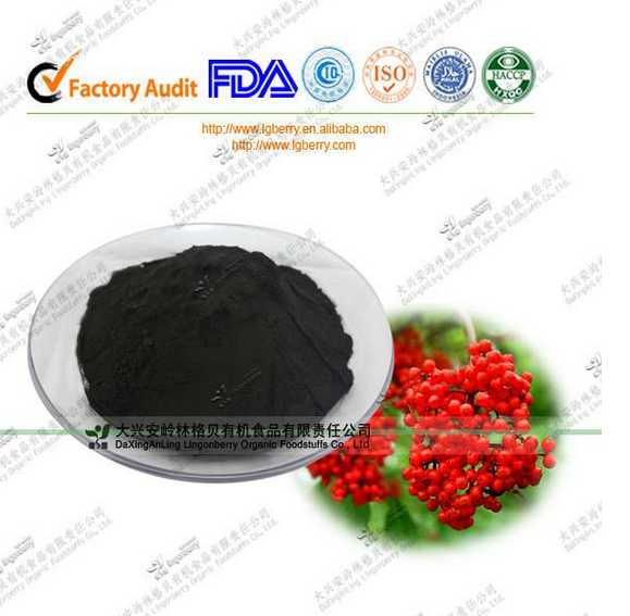  pure natural elderberry extract 