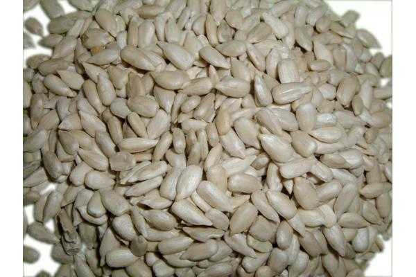seed kernels