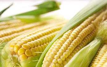 corn