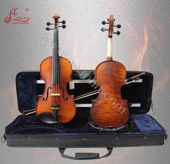 Professional Aileen Wholesale Student Violin With Case (AVL-231) 