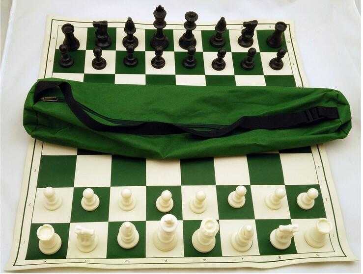 travelling plastic chess set in carry bag 