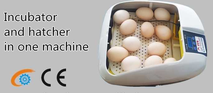 Incubator from 12eggs to 33792 eggs can be supplied, we also can design incubator as customer request