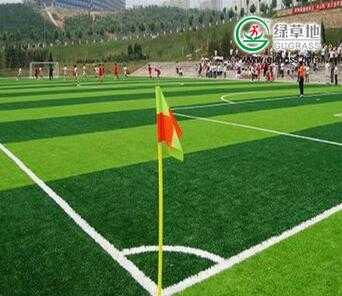 China cheap plastic artificial sports grass artificial grass for football 