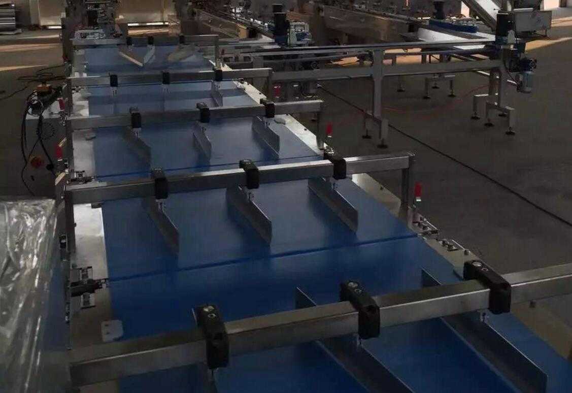 Skywin Brand Fully Auto Small Bread Feed Packing Line