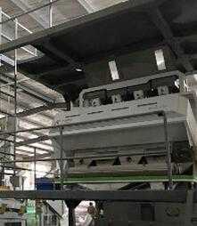  Multifunctional CCD grains optical sorter machine in China