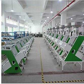 Excellent sorting performance sunflower seeds color sorting machine