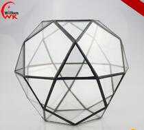 Indoor gardening glass globe hanging terrarium miniatures 