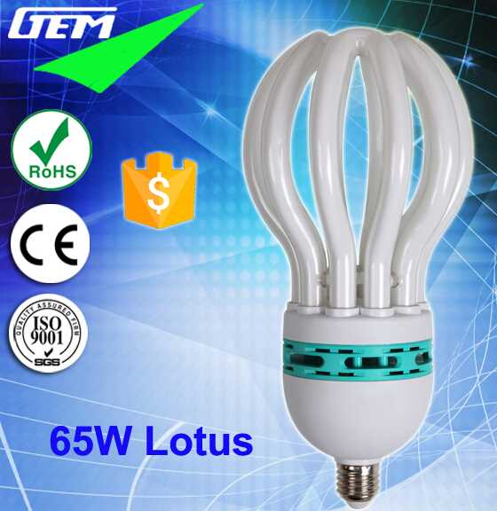 Economic Lamp 45-105W Lotus CFL Bulbs With 4U/5U Shapes 