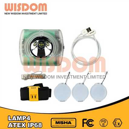 Wisdom waterproof headlamp diving led camping lamps led lighting 
