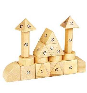 20Pieces Wooden Magnetic Building Toys Kids Toys Educational Wooden Magnetic Toys 
