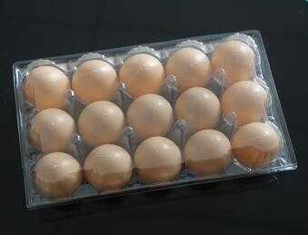 High Capability New Designs Disposable Chicken Egg Tray Plastic Sale 
