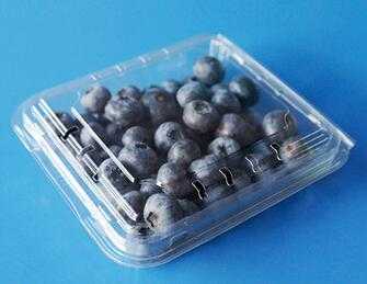 Food Grade Plastic Disposable Blueberry Fruit Packaging Container