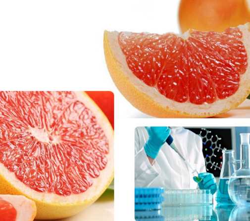 grapefruit flavor FOODFLAVOR/ESSENCE/flavor enhance