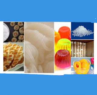 High Quality Thickeners E425 Konjac Gum Powder Manufacturer