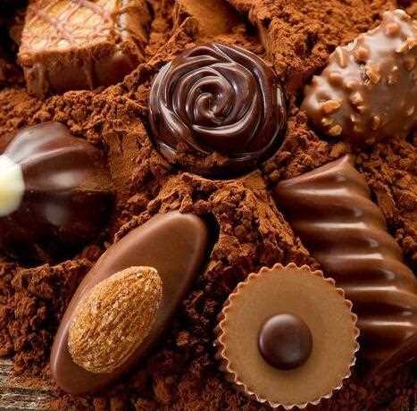 Chocolate Powder Flavor