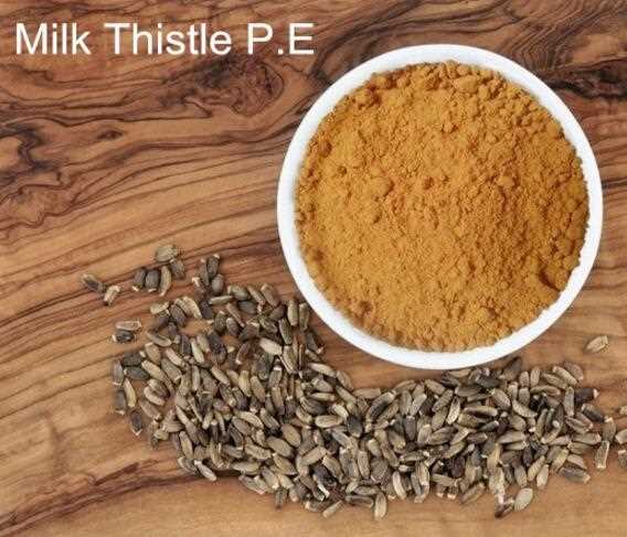 capsule ingredient milk thistle extract for liver cleanse