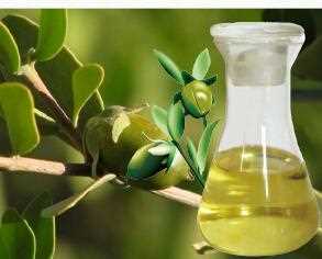100% pure natural Jojoba essential oil organic aromatic plant oil for skin care