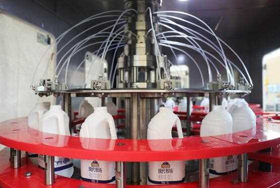 Cold Filling Machine