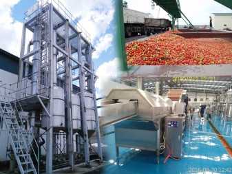 TOMATO PROCESSING LINE