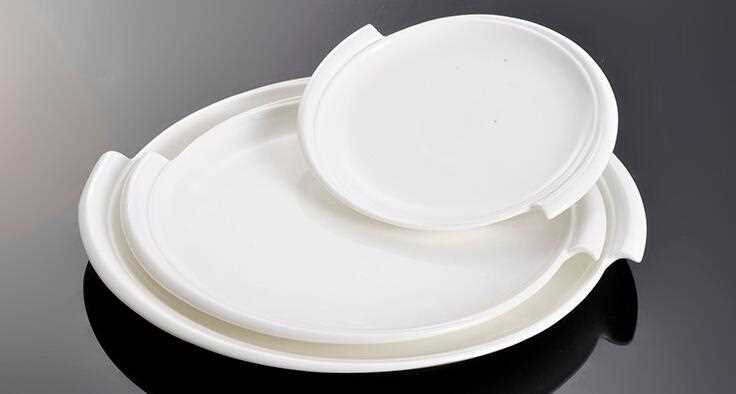 10 inch Super White Excellent  Porcelain Round Plates 