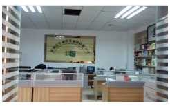 Insulated Bag for Frozen Food