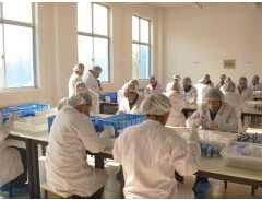 New Style Magic Colored Flame Taper Candles