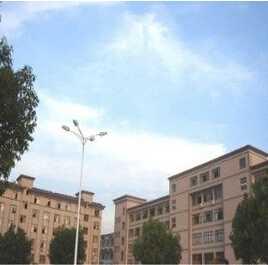 Customized Size Scented Votive Candles Wholesale