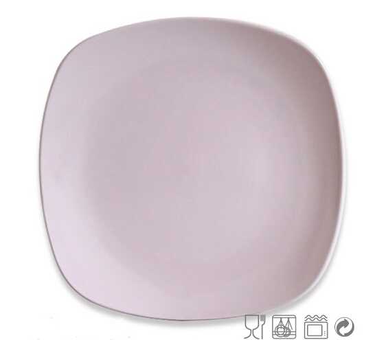 10 Inch High Quality Available Color and Shape Plate
