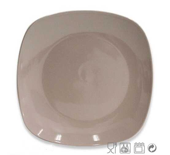 10 Inch High Quality Available Color and Shape Plate