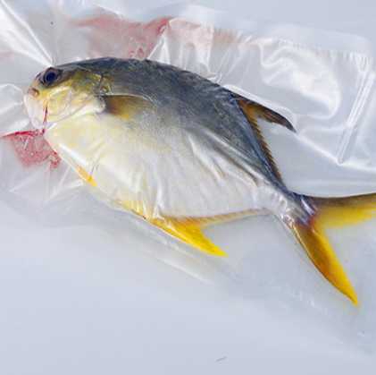 Foodsaver Plastic Packaging Vacuum Bag for Fish
