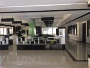 Green Color Ocean Animal Embossed Pillar Candle