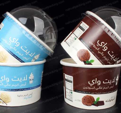 Ice Cream Paper Design Logo Brand Bowl Cups Cup