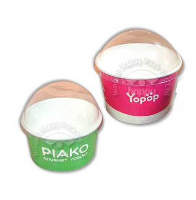 Printed Ice Cream Cup