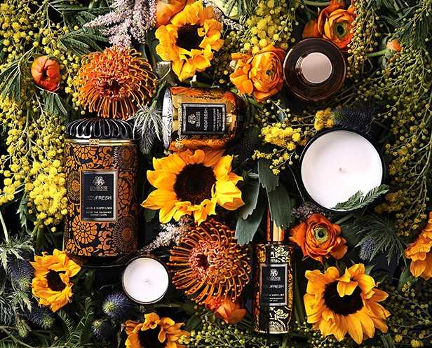 High quality aloe and soft lime scent glass jar candle