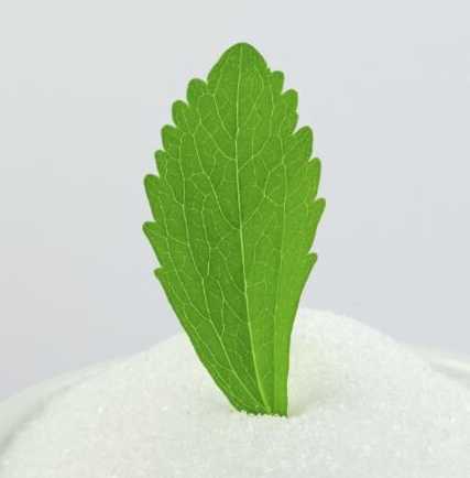 High Quality Manufacturer Zero Calrios Natural Sweetener Stevia SG90%