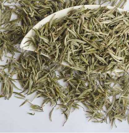 White Tea Extract for Food Supplements and Drinks