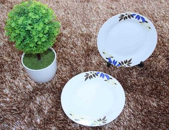 High Quality Restaurant and Hotel Ceramic Plates