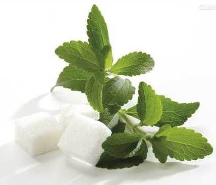 Stevia Leaf Extracts P. E. 90%Min. Natural Sweeteners for Food 