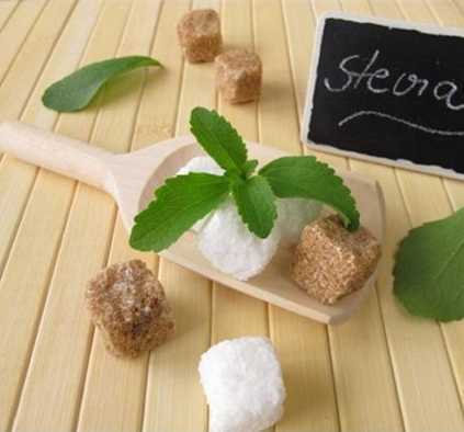 Healthy& Natural Sweetener Stevia Tablet