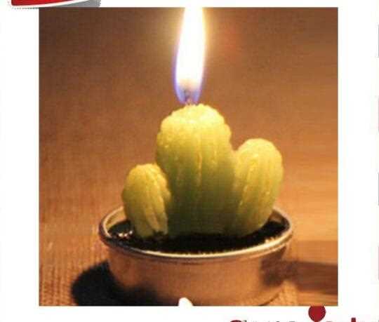  Newest  Plants Design Scented Christmas Candles