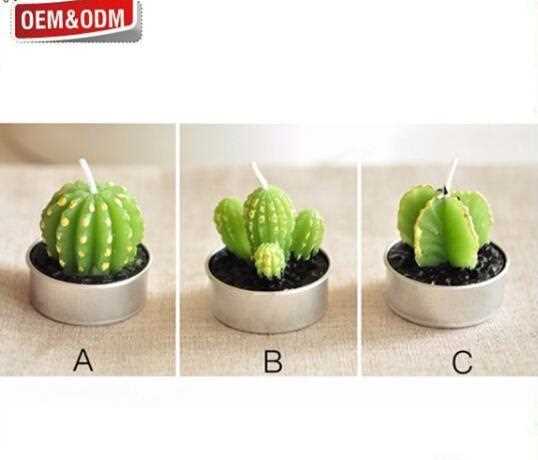  Newest  Plants Design Scented Christmas Candles